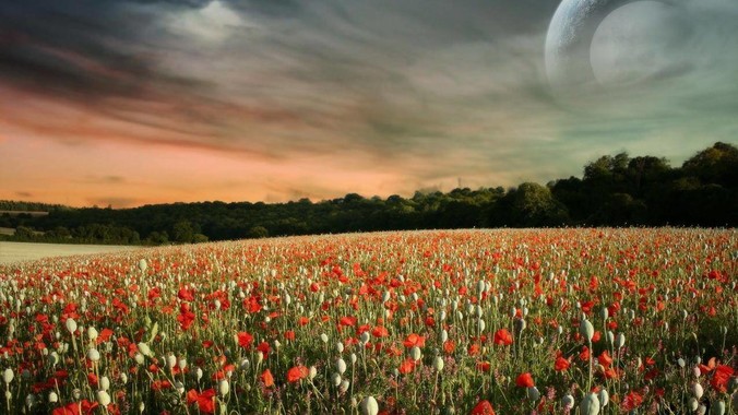 为什么中国农村房子那么丑？